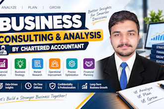 provide financial analysis, forecasting and business consulting