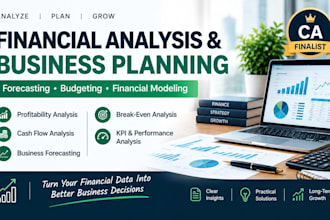 provide financial analysis, forecasting and business consulting
