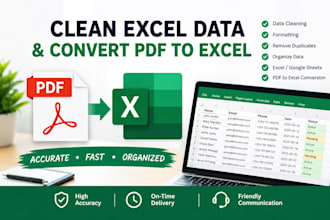 clean excel data and convert PDF to excel