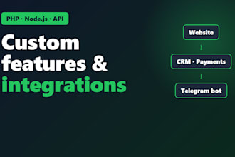 develop custom website features and api integrations