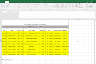 do accurate data entry and excel spreadsheet work