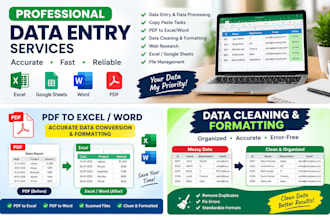 do accurate data entry, typing, and excel data cleaning