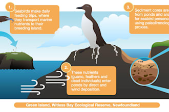 turn complex science into a compelling graphical abstract