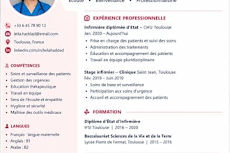create a professional CV and resume