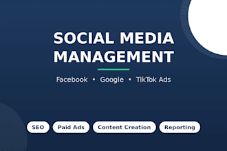 manage your facebook, instagram and tiktok social media pages