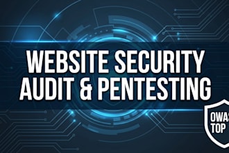 perform website security audit and penetration testing