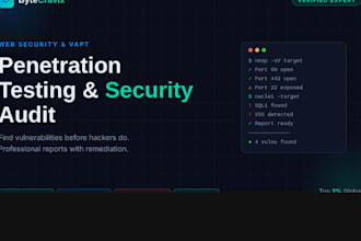 perform web application penetration testing and vapt security audit