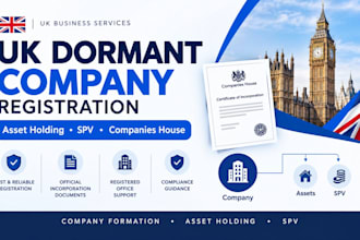 draft an operating agreement or articles of association for your dormant company