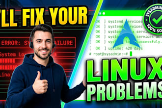 be your expert linux system administrator