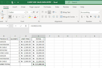 do accurate excel data entry, data cleaning and formatting
