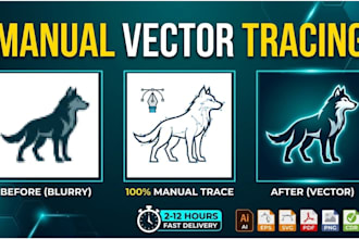 redraw logo to vector, convert image to vector, vector tracing and image editing