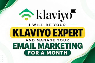 be your klaviyo expert and manage your email marketing for a month