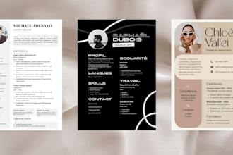 do professional CV, resume design
