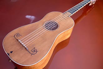 record harp, baroque guitar, oud, ukulele and folk strings for your music