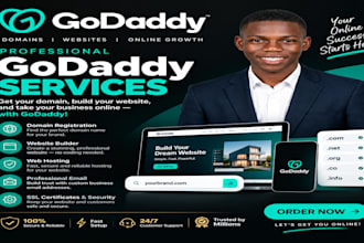 design a professional godaddy website for your business