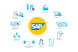 provide professional consultation service regarding sap erp