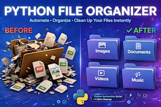 create python script to organize messy folders