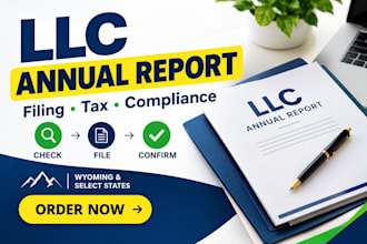 file annual report franchise tax for USA llc and tax return