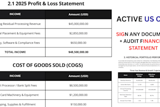 act as your cfo for financial projection, financial CPA reporting services,
