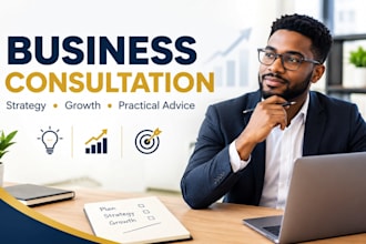provide professional business consultation