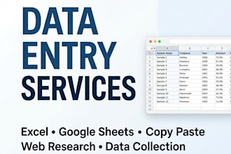 data entry copy paste and web research
