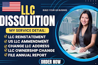 do US llc, corp reinstatement, file dissolution, terminate, ammendment  US llc