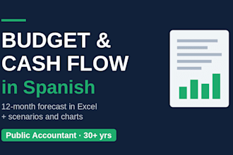 build your budget and cash flow forecast in spanish