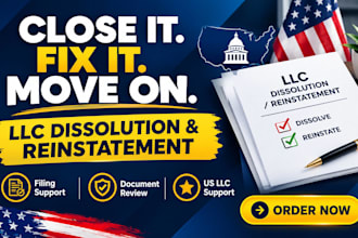 do US llc or corp reinstatement, amendment , dissolution