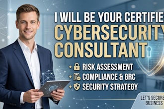 write a professional cybersecurity proposal and security consultation plan