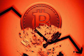 provide fast and secure crypto transfer assistance