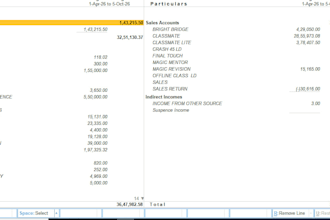 do professional accouts and auditing for individuals,company