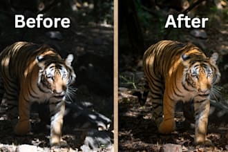 professionally edit and retouch your wildlife and bird photo