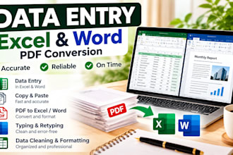 do accurate data entry, PDF to word and excel typing