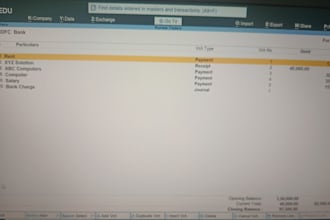 do professional tally prime accounting and bookkeeping