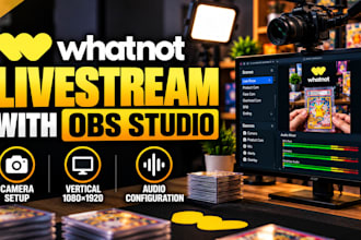 setup a professional whatnot livestream with obs studio
