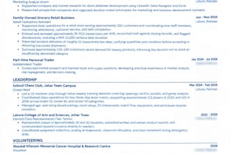 make the single best ats friendly resume for you