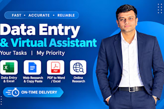do professional data entry, data cleaning excel and web research