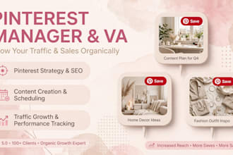 be your pinterest manager for busy ceos