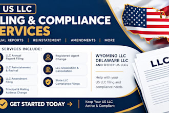 handle reinstatement revision and dissolution of US llc or corporation