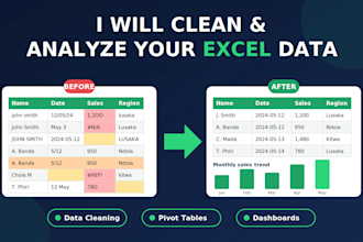 clean and analyse your business datasets