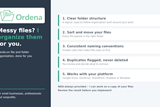 organize and structure your digital files