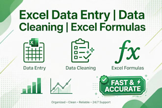 do excel data entry, data cleaning, and excel formulas work
