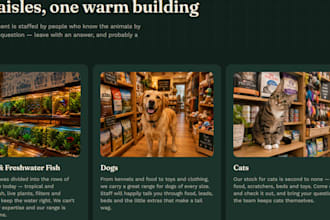 develop a website for your business