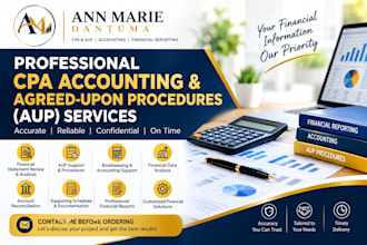 provide professional CPA accounting and aup services