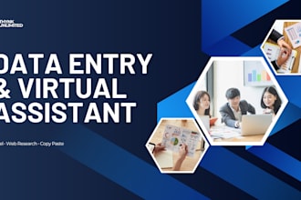do professional data entry, web research and copy paste work