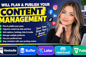 schedule social media post via hootsuite, buffer, leter metricool and publer