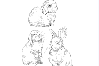 draw realistic, minimalistic line work illustrations