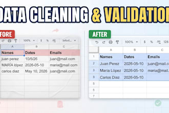 do data cleaning, data entry, and verification in excel and google sheets
