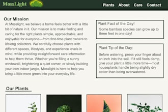 fix HTML and CSS issues on your website