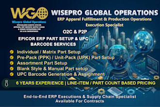 do high accuracy epicor erp data entry and apparel item master sku setup